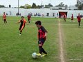 LVBF11FA2013 092