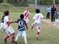LVBF11FA2013 016