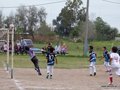 LVBF11FA2013 009