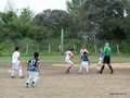 LVBF11FA2013 028