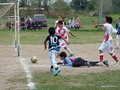 LVBF11FA2013 006