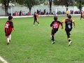 LVBF11FA2013 098