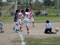 LVBF11FA2013 007