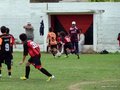 LVBF11FA2013 088