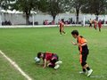 LVBF11FA2013 093