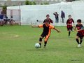 LVBF11FA2013 095