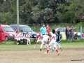LVBF11FA2013 036