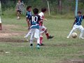 LVBF11FA2013 047