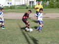 LVBF12FA2013 044