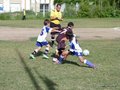 LVBF12FA2013 045