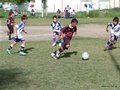 LVBF12FA2013 043