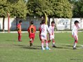 LVBF12FA2013 095