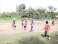 LVBF12FA2013 003