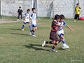 LVBF12FA2013 060
