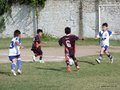 LVBF12FA2013 056