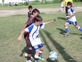 LVBF12FA2013 061