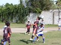 LVBF12FA2013 080