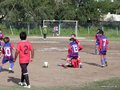 LVBF12FA2013 005