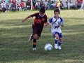 LVBF12FA2013 077