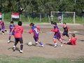 LVBF12FA2013 006