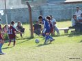 LVBF13FA2013 024