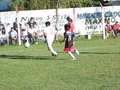 LVBF13FA2013 046