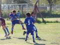 LVBF13FA2013 029