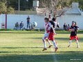 LVBF13FA2013 043