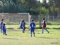 LVBF13FA2013 012