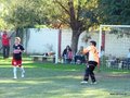 LVBF13FA2013 053