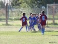 LVBF13FA2013 017