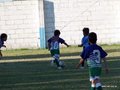 LVBF14FA2013 045