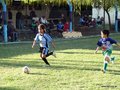 LVBF14FA2013 081