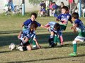 LVBF14FA2013 040