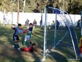 LVBF14FA2013 048