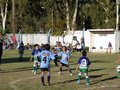 LVBF14FA2013 063