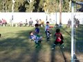 LVBF14FA2013 084