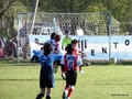 LVBF14FA2013 001