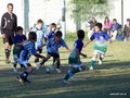 LVBF14FA2013 033