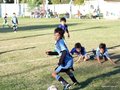 LVBF14FA2013 078