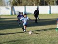 LVBF14FA2013 059