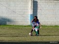 LVBF14FA2013 072
