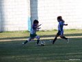 LVBF14FA2013 044