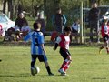 LVBF14FA2013 022
