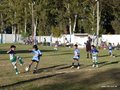 LVBF14FA2013 068