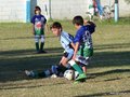 LVBF14FA2013 041