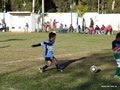 LVBF14FA2013 047