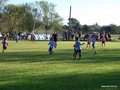 LVBF14FA2013 029