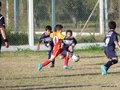 LVBF15FA2013 011