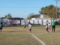 LVBF15FA2013 055